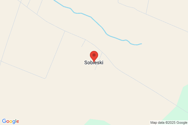Sobieski, Financial