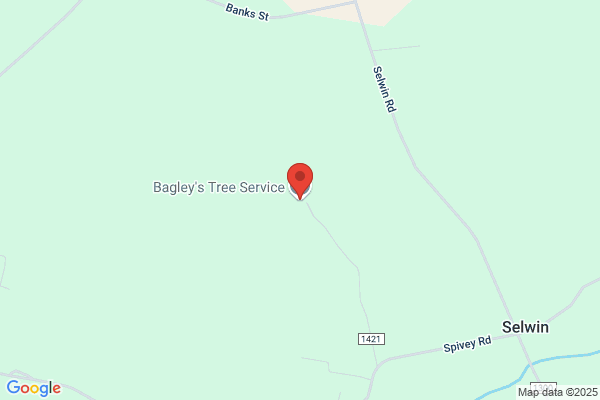 Baggley's Tree Service
