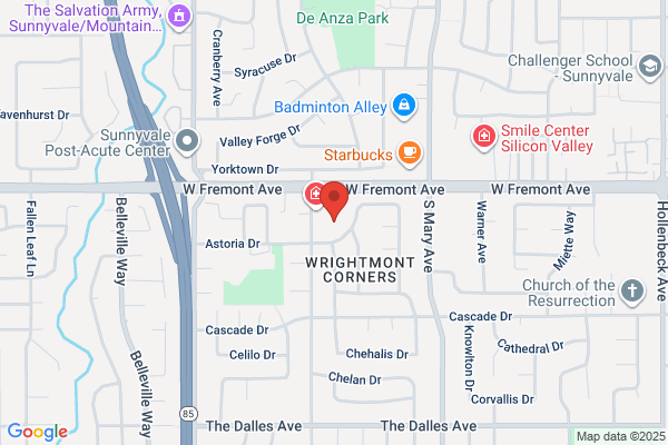 Bay Area Endodontics
