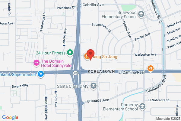 Silicon Valley Development Inc