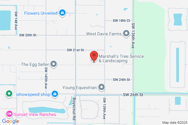 Marshall’s Tree Service And Landscaping