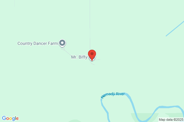 Mr Biffy LLC