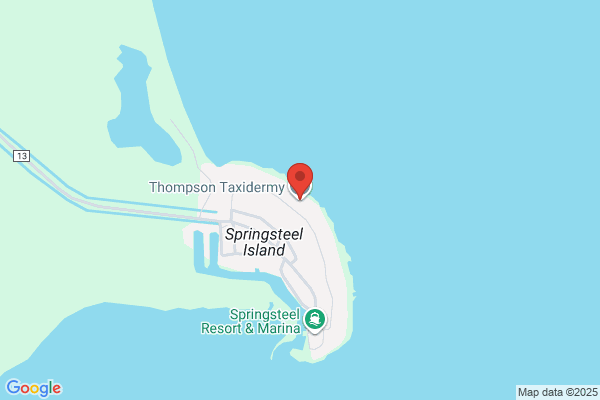 Thompson Taxidermy