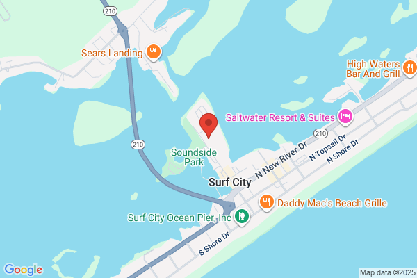 Max's Pizza-Surf City