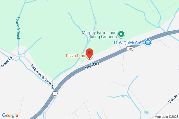 Pizza Plus of Surgoinsville