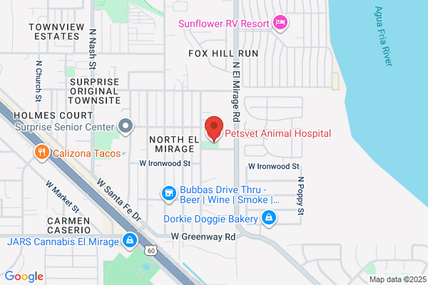 Petsvet Animal Hospital