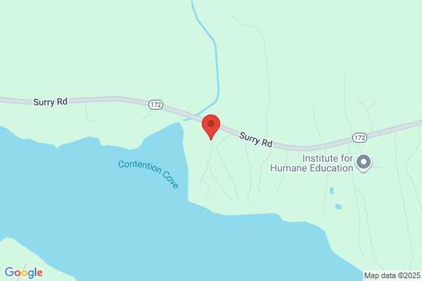 Surry Inn