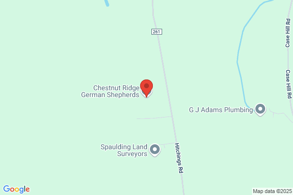 Chestnut Ridge Kennels