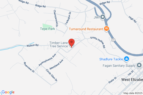 Timber Tree Service