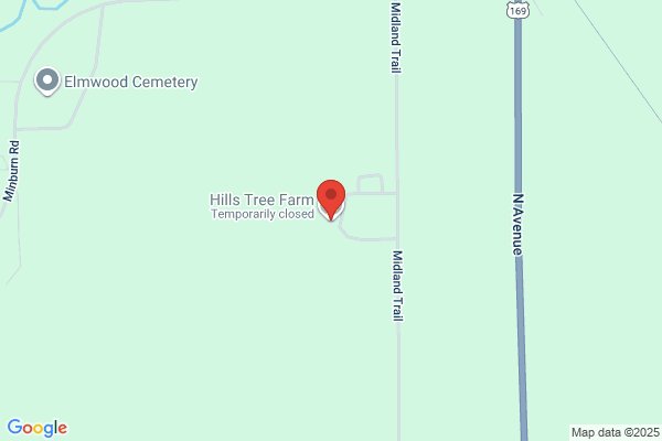 Hill Christmas Tree Farm
