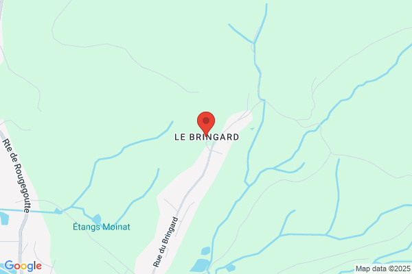 Bringard Dan Repair