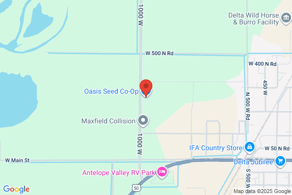 Oasis Seed Cooperative