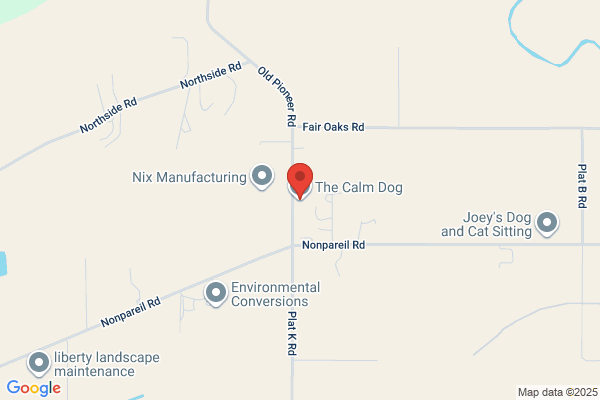 The Calm Dog