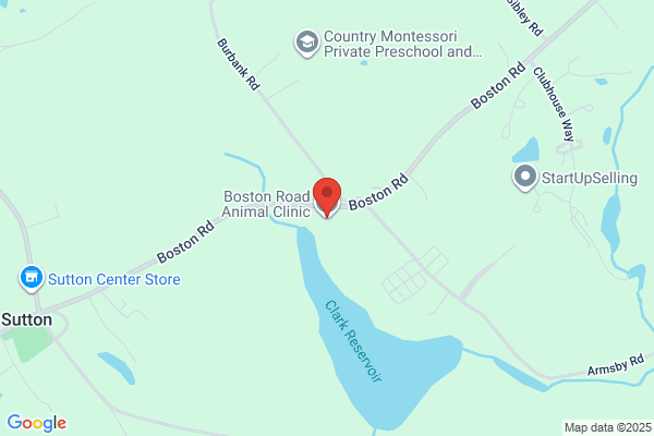 Boston Road Animal Clinic