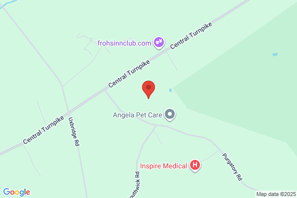 Castle Comfort Inc the
