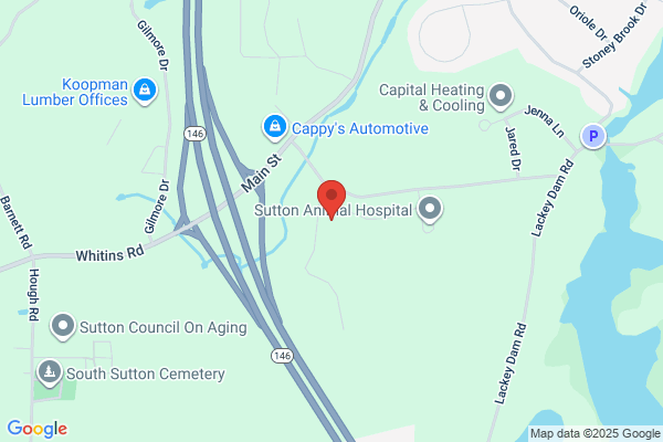 United Medical Waste Management Inc.