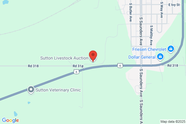 Sutton Livestock Auction
