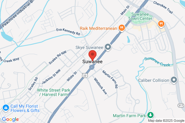 Suwanee City of, Inspection & Zoning