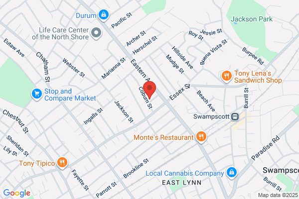LCN L Tree Services