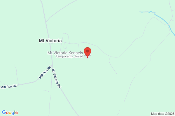 Mount Victoria Boarding Kennel