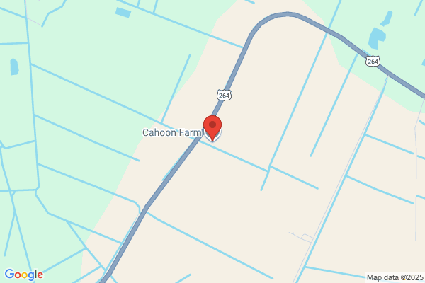 Cahoon Auto Parts