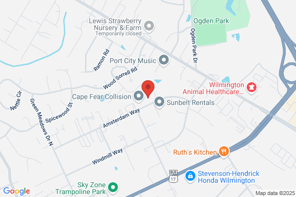 Carolina Auto Body & Paint