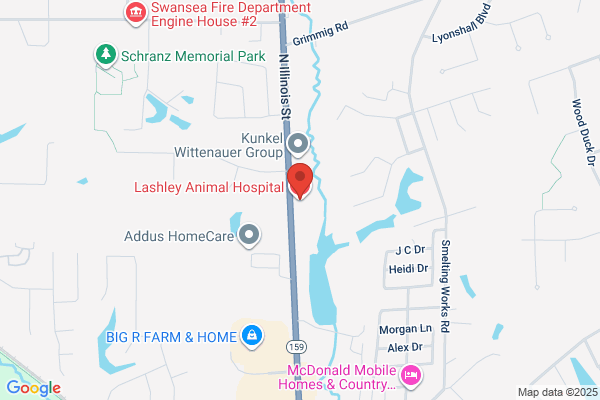 Lashley Animal Hospital