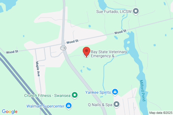 Bay State Veterinary Emergency Services