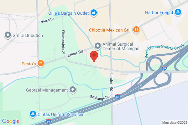 Xcel Dental Studio
