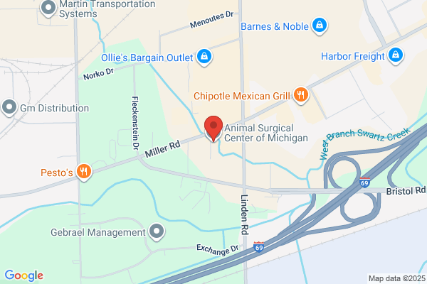 Animal Surgical Center of Michigan