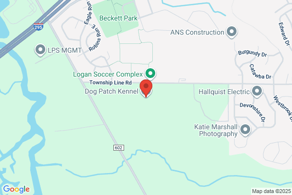 Dog Patch Kennel