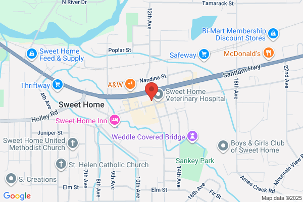 Chewy's Sports Pub & Grub