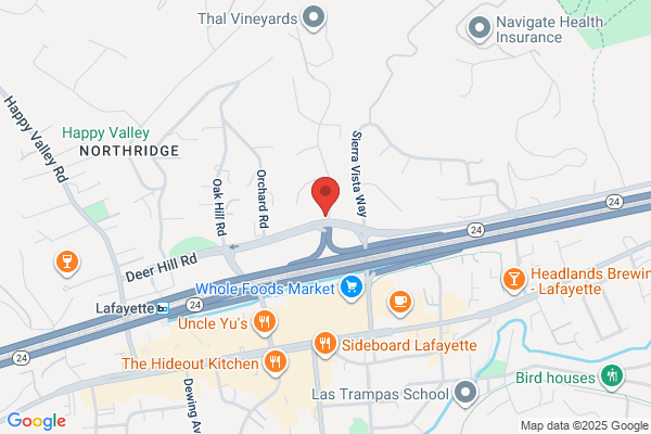 Damam-Nelson Travel Inc