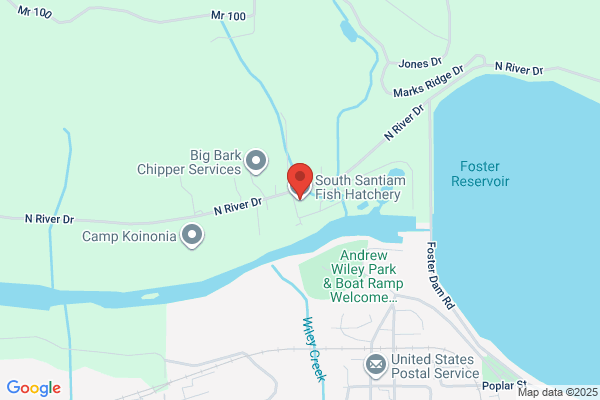 South Santiam Fish Hatchery