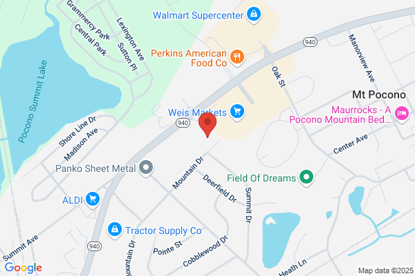 Advance Auto Parts