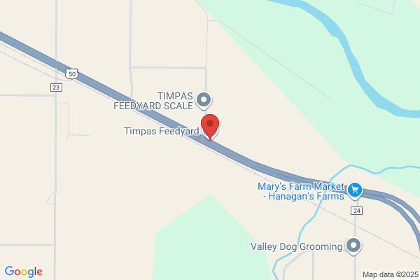 Timpas Feedyard