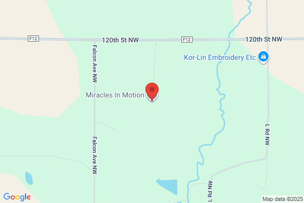 Miracles In Motion