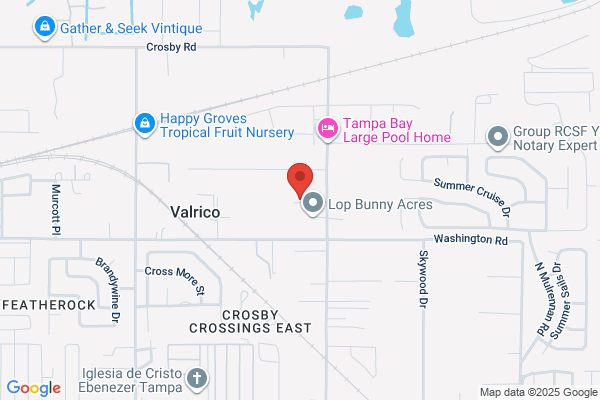 Almost Home Pet Resorts K9 Works