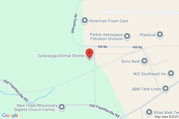 Animal Rescue Foundation