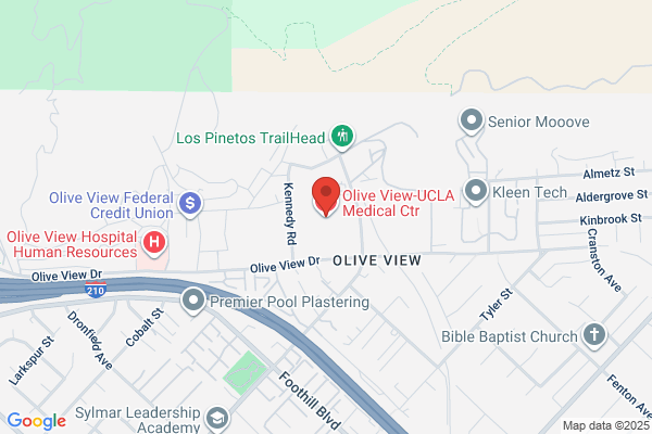 Olive View Investment Inc