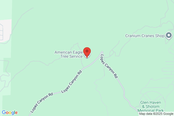 A Cut Above Tree Service