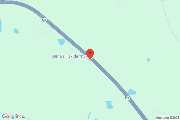 Dana's Taxidermy