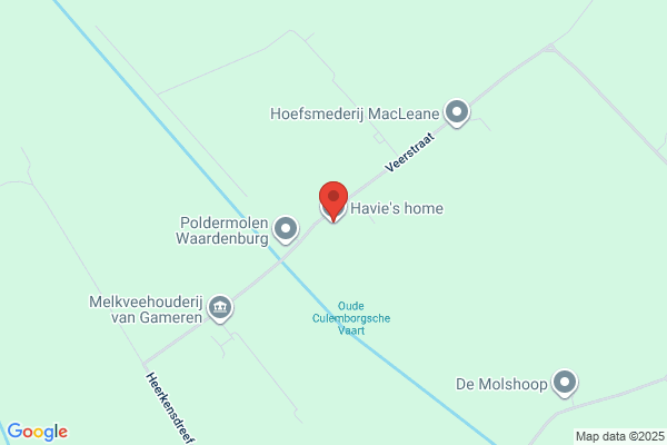 Havahome Kennels