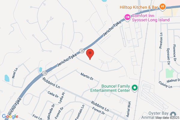 K9 Resorts Luxury Pet Hotel Syosset