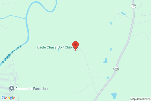 Eagle Chase