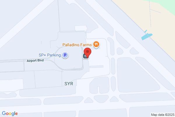 Payless Car Rental