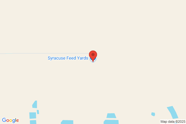 Syracuse Feedyard