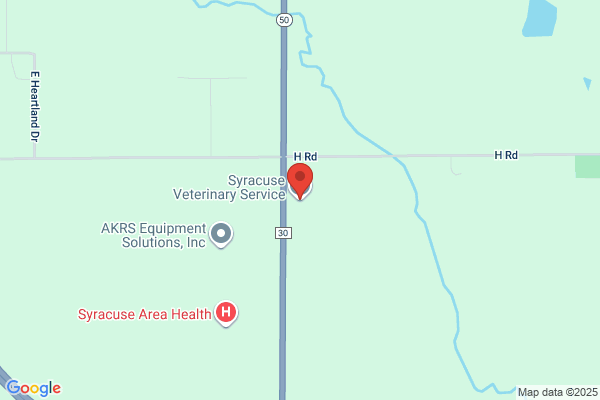 Syracuse Veterinary Service