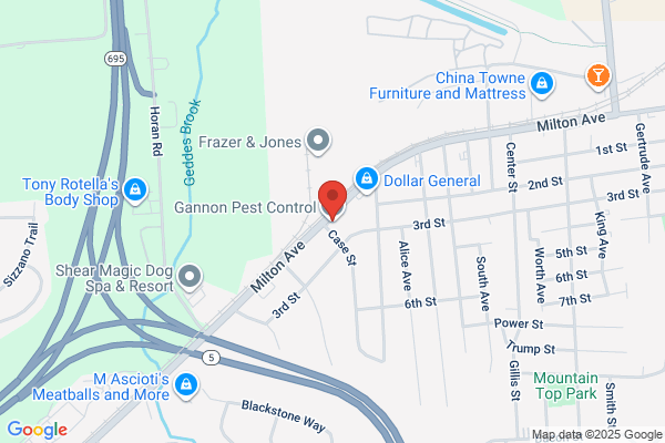 A1 Bed Bug Exterminator Syracuse