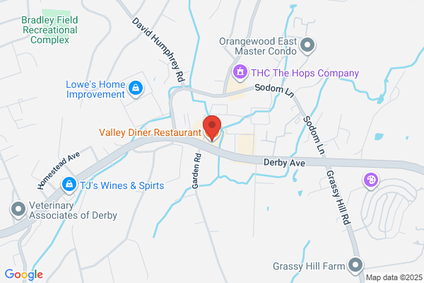 Valley Diner
